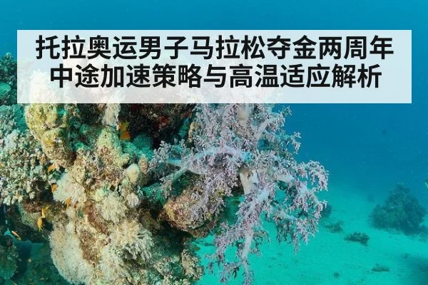 托拉奥运男子马拉松夺金两周年 中途加速策略与高温适应解析